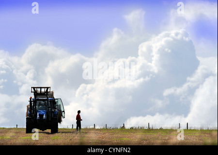 A farmer looks across his field after loading a trailer of hay bales in Gloucestershire UK Stock Photo