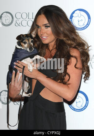 TAMARA ECCLESTONE COLLARS & COATS GALA BAL LONDON ENGLAND UK 08 November 2012 Stock Photo