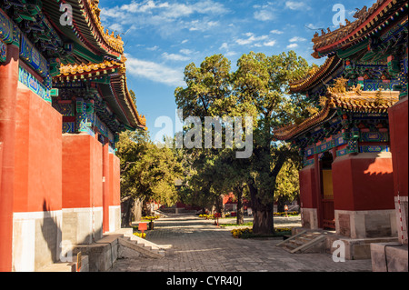 Stone-tablet pavilions at the yard of Confucian Temple, Beijing of China Stock Photo