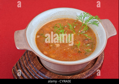 cabbage soup - tasty dish on red background Stock Photo