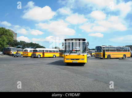 Buses in a bus terminus, Valetta, Malta Stock Photo