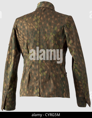 A camouflage uniform M 43 of the Waffen-SS,Field tunic 1 st model of Italian desert cloth printed on one side with 'Erbstarn' camouflage pattern,glass buttons lacquered sand colour,sand-coloured Bevo sleeve eagle insignia on black ground,the interior stamped with 'SS-BW' and size specification. The trousers of drill fabric(differing materials),the exterior also printed with 'Erbstarn' pattern,white lining stamped with the specifications of size and maker. Metal pieces corroded,historic,historical,1930s,20th century,Second World War / WWII,object,o,Additional-Rights-Clearences-Not Available Stock Photo