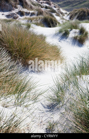 Sand Dunes mostly covered with Marram grass blowing in the breeze, Traigh Eais, Isle of Barra, Outer Hebrides, Scotland, UK Stock Photo