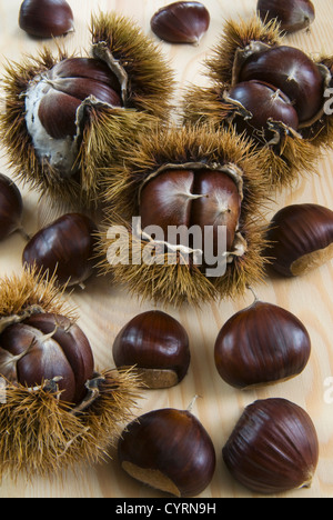 Chestnuts with shell Stock Photo - Alamy