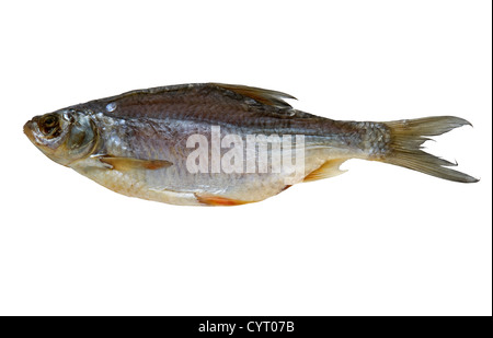 dried fish isolated on white background Stock Photo