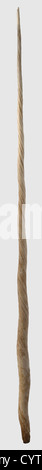 A Greenland narwhal tusk, end of the 20th century A massive tusk with beautifully grown spiral structure. Point broken off, small cracks in places. Rich, dark patina on the surface. Length 202 cm. Both sexes of the narwhals (Monodon monoceros), which are found everywhere in the Arctic ocean, have these typical tusks, which develop from a canine tooth in the upper jaw. CITES documents available, historic, historical, handicrafts, handcraft, craft, object, objects, stills, clipping, clippings, cut out, cut-out, cut-outs, Additional-Rights-Clearences-Not Available Stock Photo