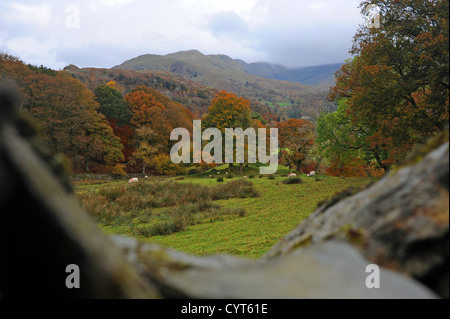 Views around Loughrigg Fell near Ambleside Lake District Stock Photo