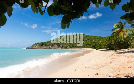 Happy Bay beach in St Martin Sint Maarten in Caribbean island Stock ...