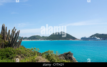 Pipe cactus plants on headland of Fort Amsterdam overlooking Philipsburg Sint Maarten Stock Photo