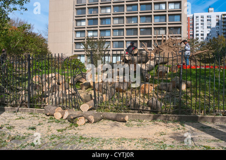 New York, NY - 4 November 2012 Workers clear  a large felled tree on West Houston Street in the aftermath of Superstorm Sandy, a Category 3 Hurricane ©Stacy Walsh Rosenstock/ Alamy. Stock Photo