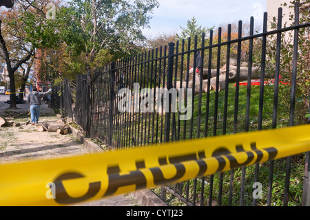 New York, NY - 4 November 2012 Workers clear a large felled tree on West Houston Street in the aftermath of Superstorm Sandy, a category 3 hurricane  ©Stacy Walsh Rosenstock/ Alamy Stock Photo