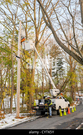 USA, 9 November 2012: Sandy Day 11 - Crews from across America lend a hand. Jimmy Libby (up in bucket) and Ed Lewando of E&E Electrical Inc. came from Boston Massachusetts  to help the utility company Con Edison make repairs in beleaguered Westchester County NY after Hurricane Sandy. Here, they work on electrical lines on Brevoort Road in Chappaqua New York to restore power to homes that have been without heat and electricity for 11 days. Mr. Lewando says he has never seen so many downed lines and trees in his life. © 2012 Marianne A. Campolongo. Stock Photo