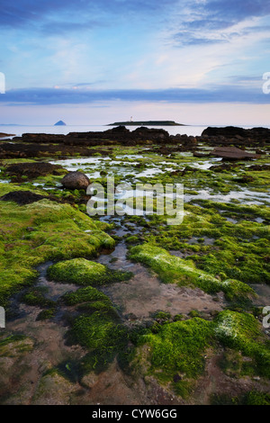 View from the rocky beach at Kildonan looking across the water towards Ailsa Craig and Pladda Lighthouse, Arran, Scotland, UK Stock Photo