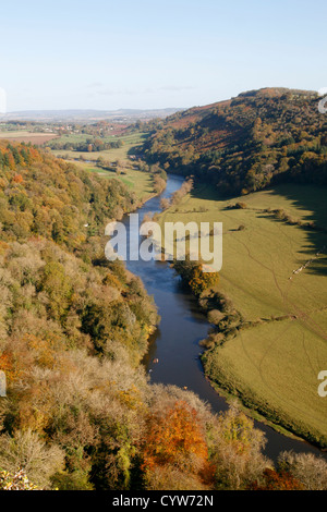 View from Symonds Yat Rock to Wye Valley Forest of Dean Gloucesrtershire England UK Stock Photo
