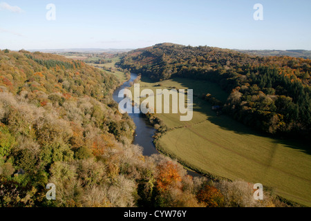 View from Symonds Yat Rock to Wye Valley Forest of Dean Gloucestershire England UK Stock Photo