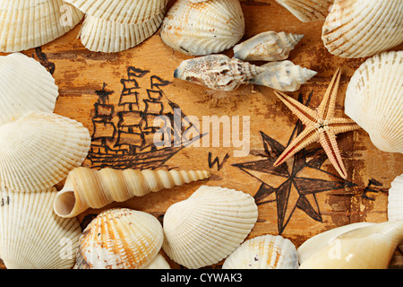 Shells and starfish on the sea chart with ship on the order of antiquities Stock Photo