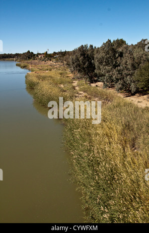 Frans Loots Bridge over the Orange River in Prieska Koo Northern Cape ...