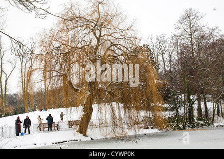 Snow in Waterlow Park, Highgate, London Stock Photo