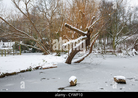 Snow in Waterlow Park, Highgate, London Stock Photo