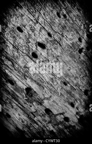 black and white close up of a tree trunk Stock Photo