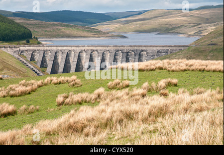 Nant-y-moch Reservoir located in Cambrian Mountains, northern Ceredigion, Wales Stock Photo