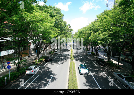 Omotesando,Tokyo,Japan Stock Photo