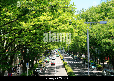 Omotesando,Tokyo,Japan Stock Photo