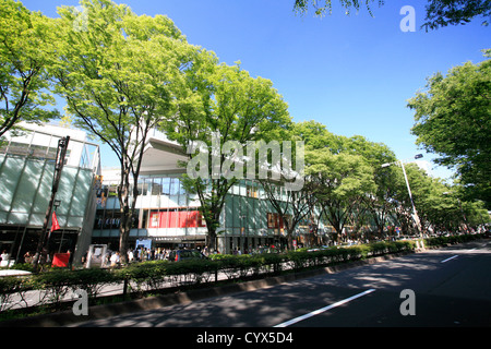 Omotesando,Tokyo,Japan Stock Photo