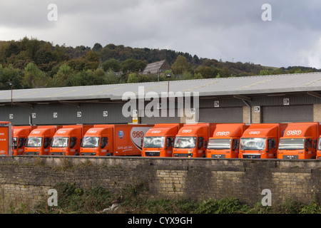 TNT HGV lorries at the loading bays of TNT's parcel distribution hub terminal in Ramsbottom in Lancashire. Stock Photo