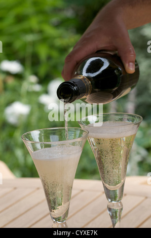 Pouring sparkling wine outdoors. Stock Photo