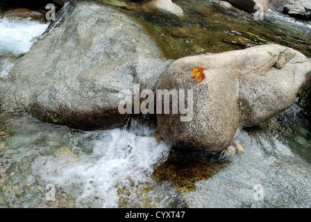 rocher et fil d eau dans vallée de la restonica haute corse ville de corté France 2b Stock Photo