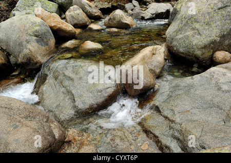 cours d'eau dans la montagne de la restonicat haute corse 2b France Stock Photo