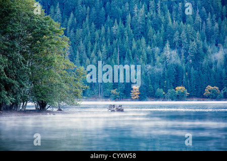 Foggy blue toned lake view at evening twilight light with forest background (Lake Crescent at Olympic National Forest Washington Stock Photo
