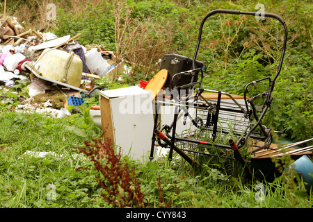 Domestic rubbish dumped in the woods Stock Photo