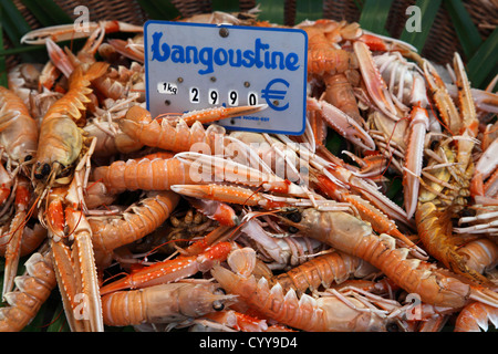 Norway lobster (Nephrops norvegicus) on fish market in Paris Stock Photo