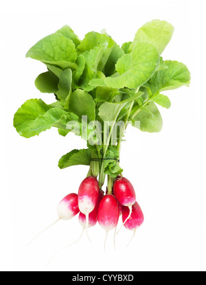 Radish Stock Photo