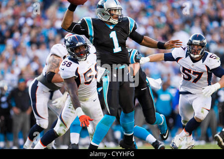 Carolina Panthers Denver Broncos Fans Support Nfl Game