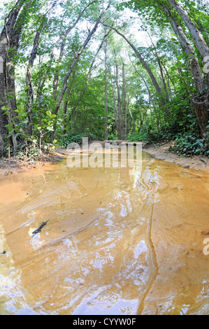 small rivulet in forest near Rustrel, Provence in France Stock Photo ...