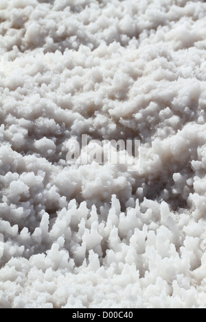 Closeup of halite crystals (sodium chloride) at Badwater Basin in Death Valley, California, USA Stock Photo