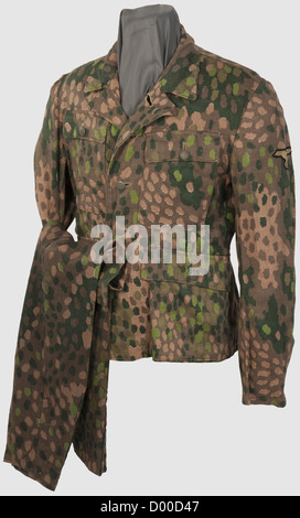 A model 43 camouflage suit of the Waffen-SS,Field blouse with one side printed in 'Erbstarn' pattern camouflage,field grey metal buttons,interior reinforcements and first aid dressing of greyish cotton,BeVo sleeve eagle,sand-coloured weave on a black base. Trousers of like material,but with a larger camouflage pattern,metal and sand-coloured synthetic resin buttons,the inner reinforcements of grey cotton(defects)with depot- and size stampings,pocket sacks of olive-brown linen. Metal parts corroded. In unworn,absolutely colour-fresh condition,histor,Additional-Rights-Clearences-Not Available Stock Photo
