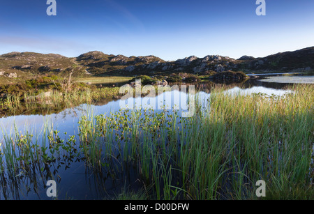 Sun rising over Innominate Tarn below the summit of Haystacks in the Lake district, England, UK. Stock Photo