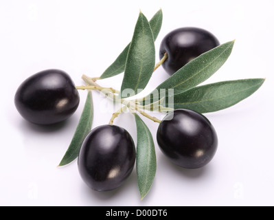 Ripe black olives with leaves on a white background. Stock Photo