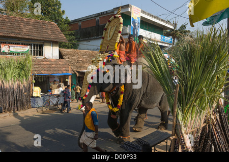 Priest riding a caparisoned elephant wearing a golden Nettipattam past sugar cane at the Goureeswara Temple Festival, Cherai, near Kochi (Cochin), Kerala, India Stock Photo