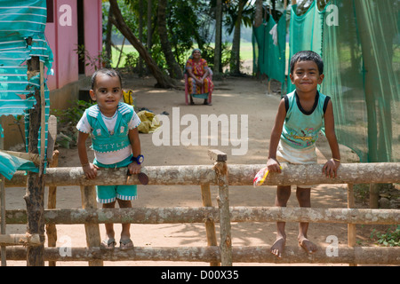 Two boys climbing on a fence with their mother sitting behind, Kanjippadom, near Alappuzha (Alleppey), Kerala, India Stock Photo