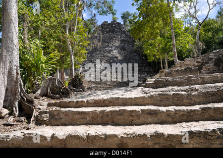 Coba Mayan Ruins in Mexico Stock Photo