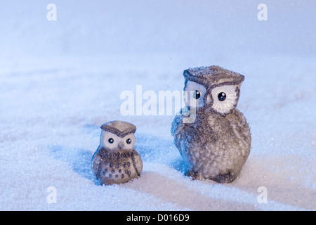 Christmas owls on snow. Copy space. Stock Photo