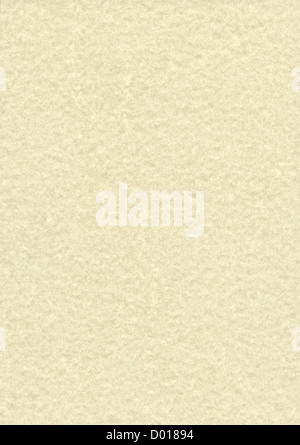 Detailed paper texture. May use as a background for design. Stock Photo