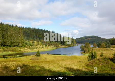Loch Drunkie, Loch Lomond and Trossachs National Park, Stirling, Scotland Stock Photo