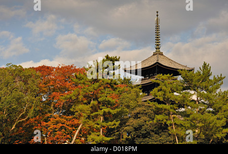 The 5-storey pagoda of Kofukuji temple in Nara, Japan Stock Photo