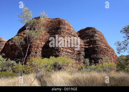 Sandstone and conglomerate rock formations known as the Bungle Bungles. Purnululu National Park, Western Australia. Stock Photo